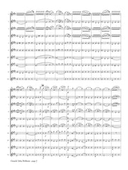 Chopin (arr. Ben-Meir) - Grande Valse Brillante, Op. 18 (Flute Orchestra) - MEG094