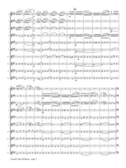 Chopin (arr. Ben-Meir) - Grande Valse Brillante, Op. 18 (Flute Orchestra) - MEG094