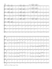 Shostakovich (arr. Ben-Meir) - Waltz No. 2 in C Minor (Flute Orchestra) - MEG096