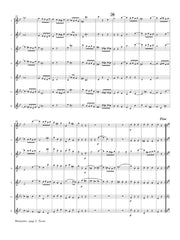 Mozart (arr. Ben-Meir) - Menuetto from Symphony No. 40 (Flute Orchestra) - MEG098