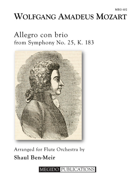 Mozart (arr. Ben-Meir) - Allegro con brio from Symphony No. 25