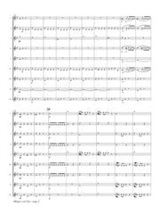 Mozart (arr. Ben-Meir) - Allegro con brio from Symphony No. 25 (Flute Orchestra) - MEG102