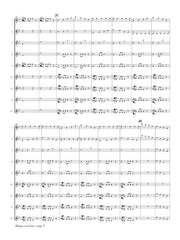 Mozart (arr. Ben-Meir) - Allegro con brio from Symphony No. 25 (Flute Orchestra) - MEG102