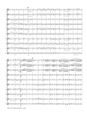 Tchaikovsky (arr. Ben-Meir) - Valse from Sleeping Beauty (Flute Orchestra) - MEG107