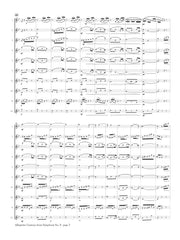 Dvorak (arr. Ben-Meir) - Allegretto Grazioso from Symphony No. 8 (Flute Orchestra) - MEG112