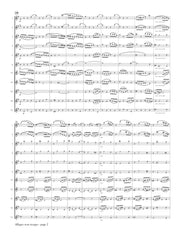 Brahms (arr. Ben-Meir) - Allegro Non Troppo from Symphony No. 4 (Flute Orchestra) - MEG117