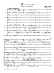 Brahms (arr. Ben-Meir) - Allegretto Grazioso from Symphony No. 2 (Flute Orchestra) - MEG120