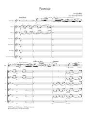 Hue (arr. Ben-Meir) - Fantaisie (Solo Flute and Flute Orchestra) - MEG122