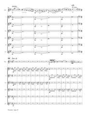 Hue (arr. Ben-Meir) - Fantaisie (Solo Flute and Flute Orchestra) - MEG122