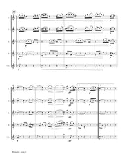 Bolzoni (arr. Ben-Meir) - Minuetto (Flute Orchestra) - MEG125