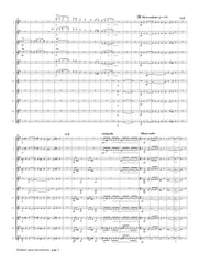 Sibelius (arr. Ben-Meir) - Finale from Symphony No. 1 (Flute Orchestra) - MEG127