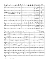Bizet (arr. Ben-Meir) - Adagio from Symphony in C (Flute Orchestra) - MEG138