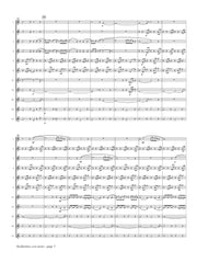 Sibelius (arr. Ben-Meir) - Andantino con moto from Symphony No. 3 (Flute Orchestra) - MEG143