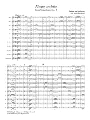 Beethoven (arr. Ben-Meir) - Allegro con brio from Symphony No. 5 (Flute Orchestra) - MEG166