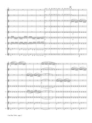 Mozart (arr. Ben-Meir) - Cosi Fan Tutte Overture, K. 588 (Flute Orchestra) - MEG168