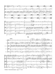 Schubert (arr. Popkin) - Quartet in A minor, Op. 29, No. 13, D. 804 "Rosamunde" for Wind Quintet - MP03
