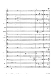 Kruisbrink - 1991 for Chamber Orchestra - OR107156DMP