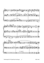 Beets - Jeu de lumiere - ORG115046DMP