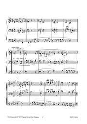 Beets - Jeu de lumiere - ORG115046DMP