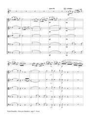 Paladilhe (arr. Tao) - Solo pour Hautbois (Alto Saxophone and Strings) - SS01