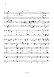 deLise - Silent Night for SATB Choir and Piano - V7311EM