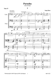 Beets - Purusha - VCP10427DMP